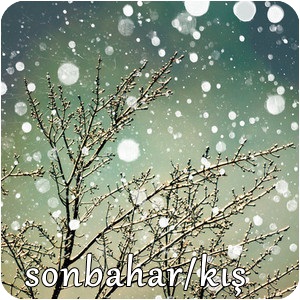 2012-2013 sonbahar kış